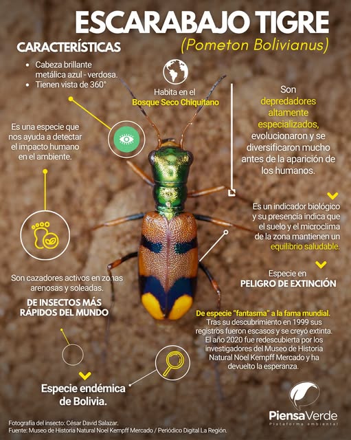 https://php.centraldemedios.cloud/imagenes/658834555_18096150554012647_6360723527470732930_n.jpg