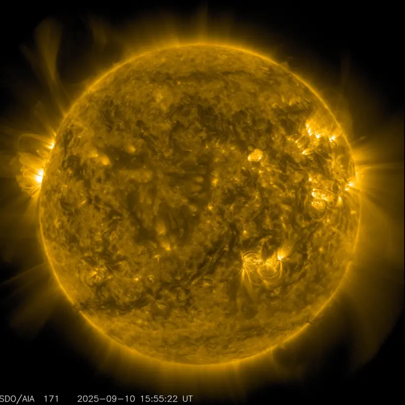 7fd59800-90de-11f1-bad1-37f8e0c246e3.jpg.webp