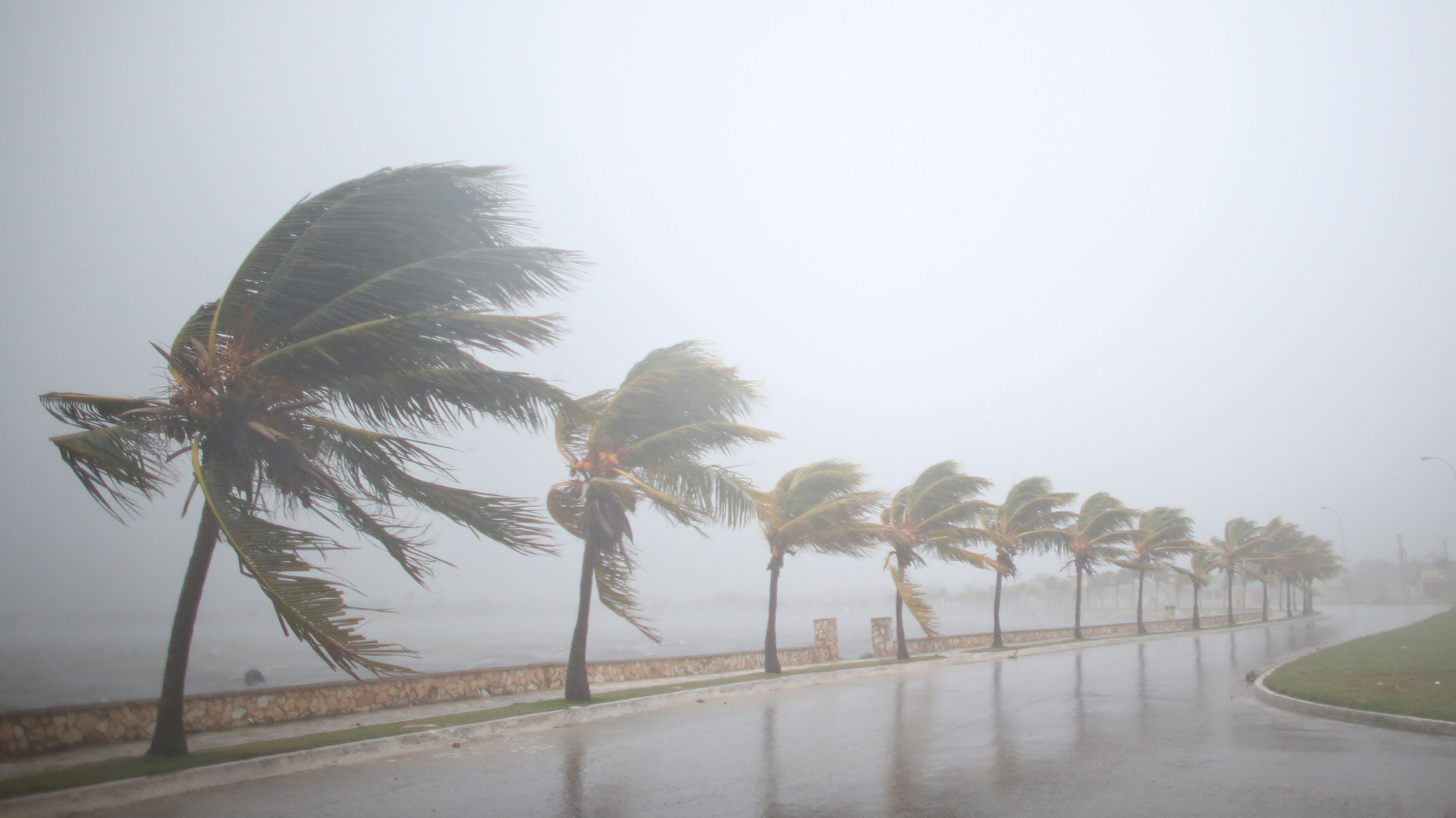 https://php.centraldemedios.cloud/imagenes/Hurac%C3%A1n%20Fausto%20no%20representa%20riesgo%20para%20M%C3%A9xico%20por%20ahora%2C%20pero%20seguir%C3%A1%20bajo%20monitoreo.jpg