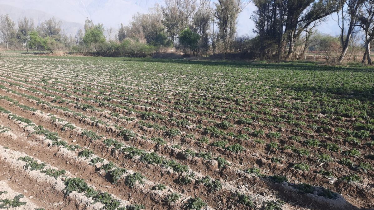 https://php.centraldemedios.cloud/imagenes/Las%20autoridades%20recomiendan%20tomar%20previsiones%20por%20las%20bajas%20temperaturas.jpg