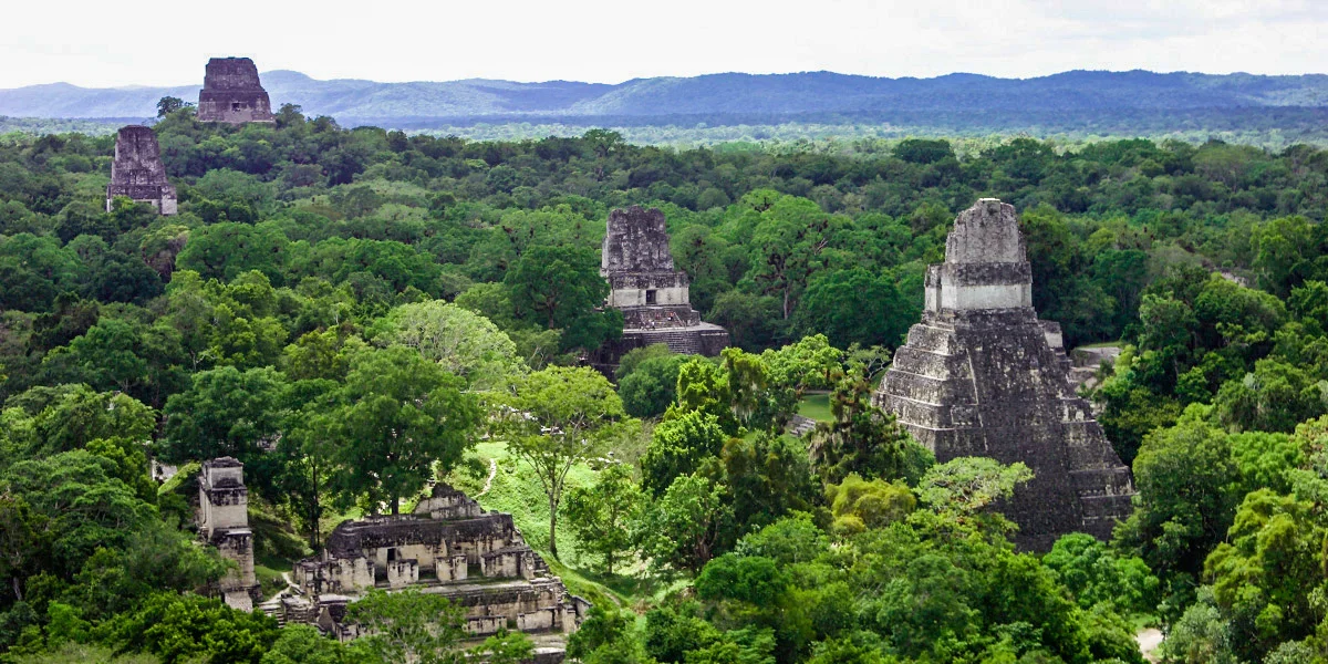 Tikal-National-Park-Aerial-View-Guatemala-Centroamerica-04.webp