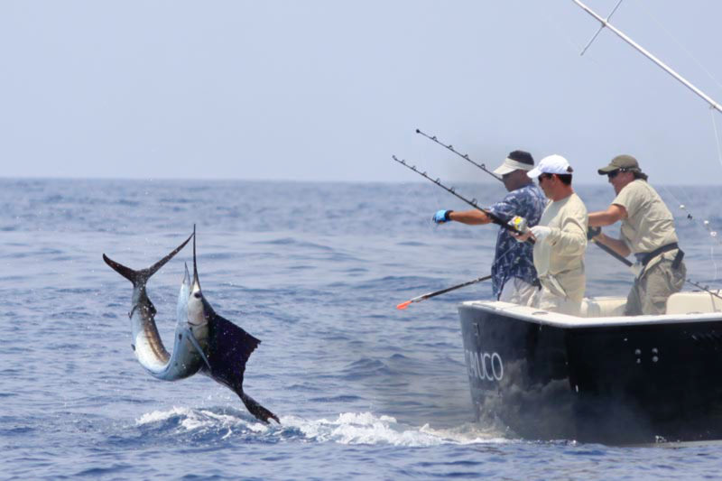pesca-1-e1508359659347.jpg