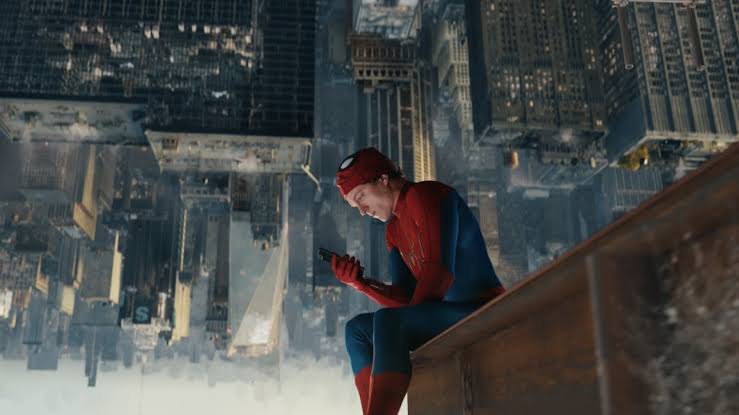 spider02.jpg